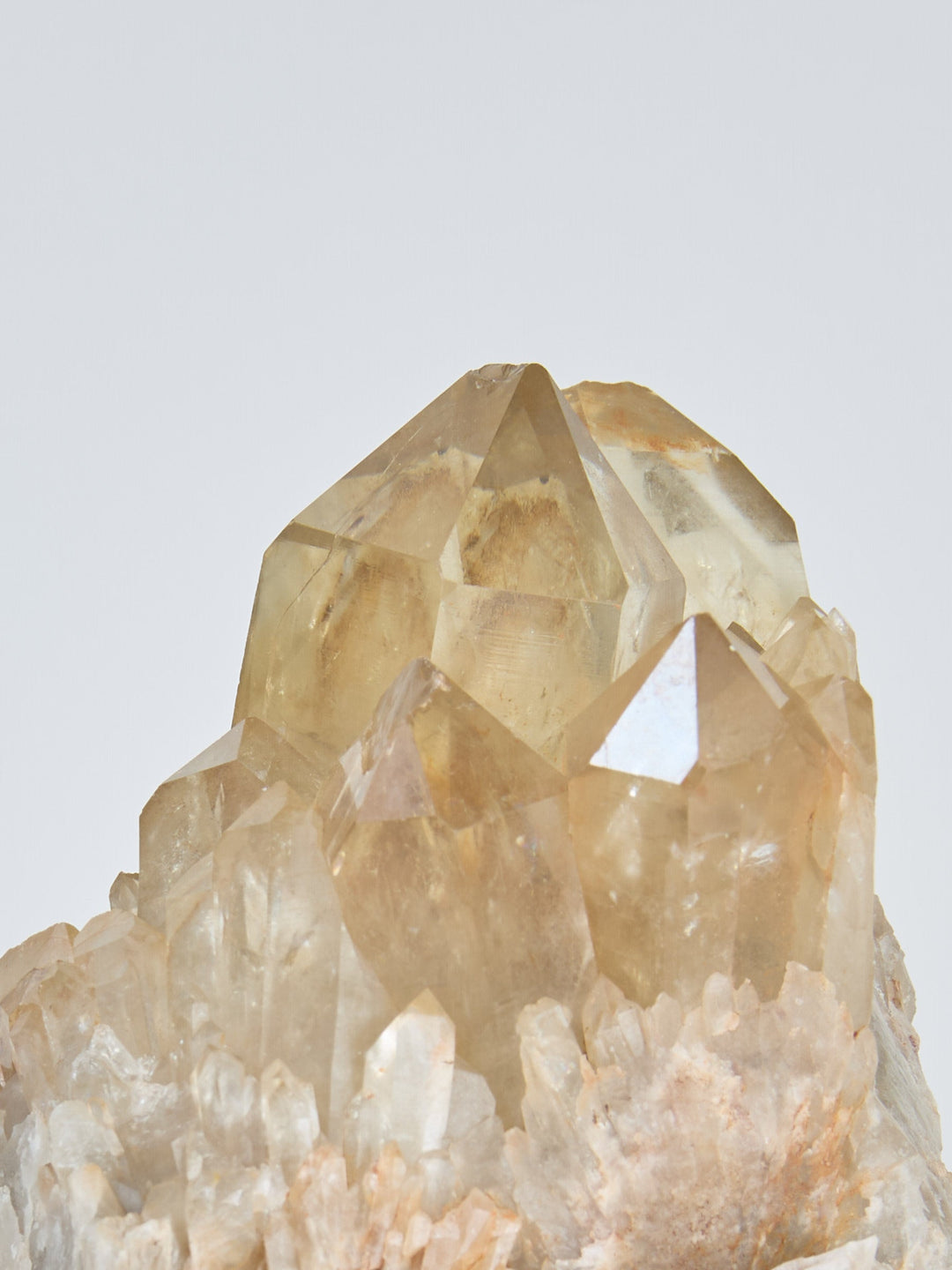 Thema_Fülle_Abundance