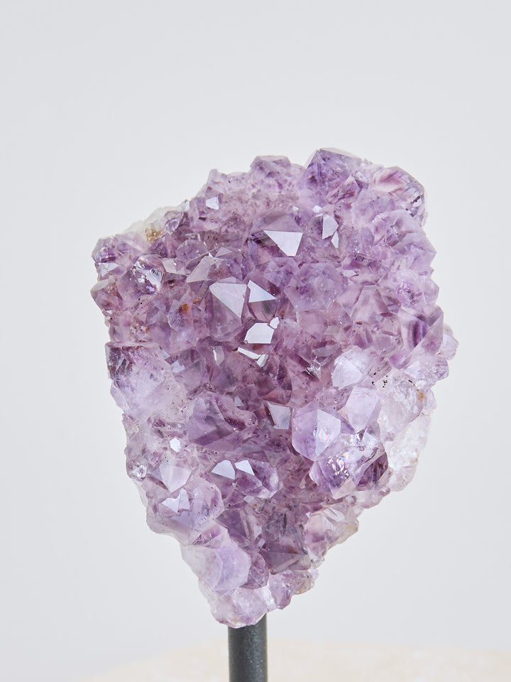 Amethyst Druse auf Ständer