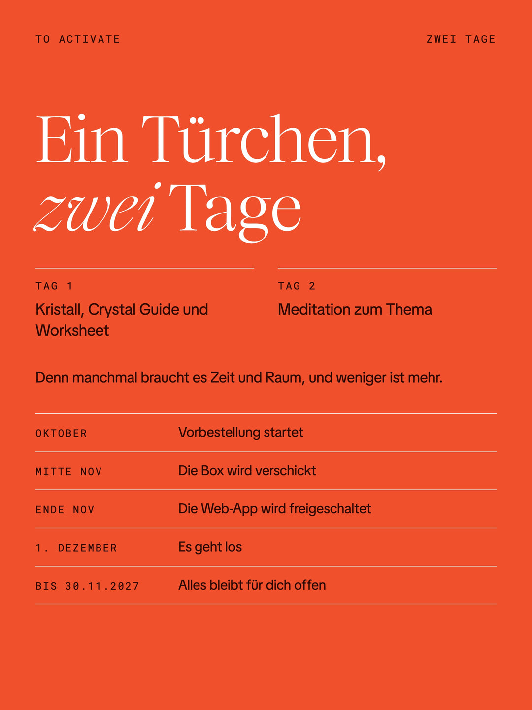 TO ACTIVATE · Der Zelda/Zita Adventskalender 2026