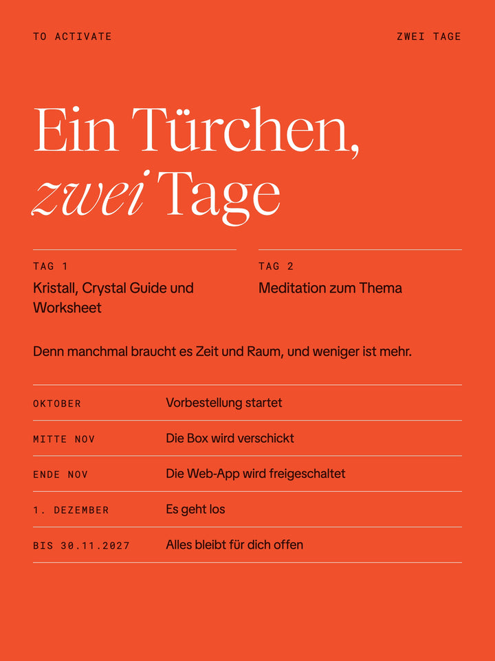TO ACTIVATE · Der Zelda/Zita Adventskalender 2026