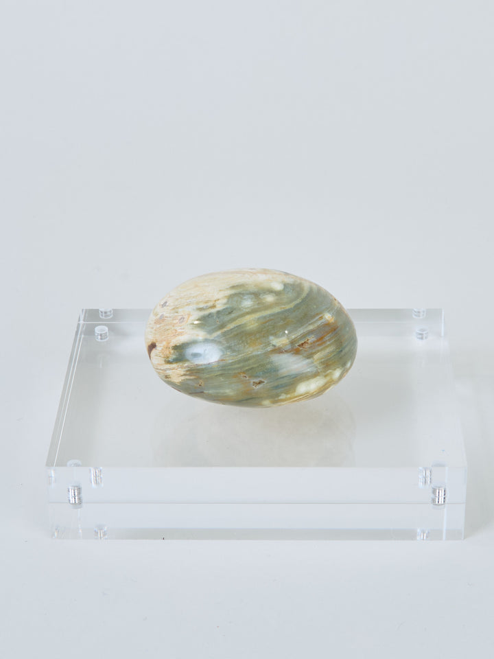 Ozean Jaspis (Orbicular)