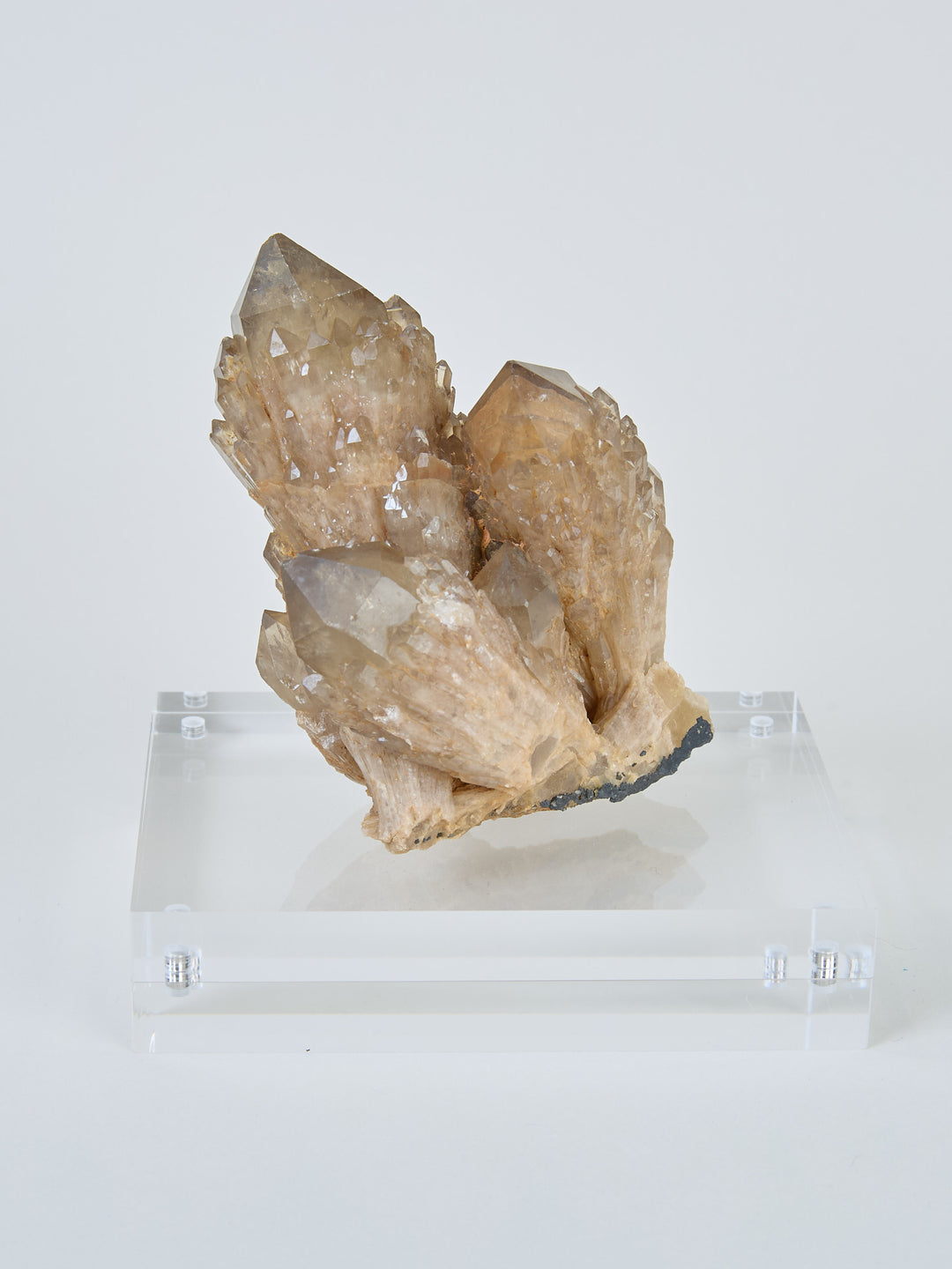 Kundalini Citrin Stufen