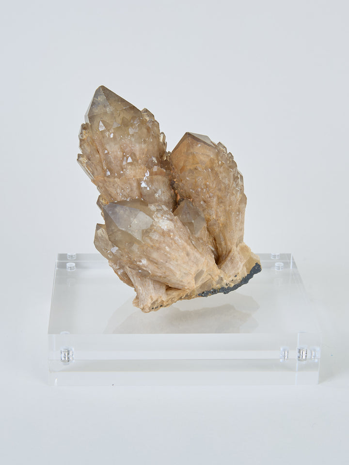 Kundalini Citrin Stufen