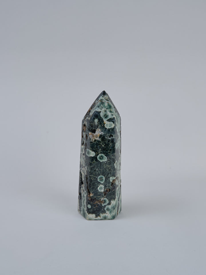 Ozean Jaspis (Orbicular) Spitze