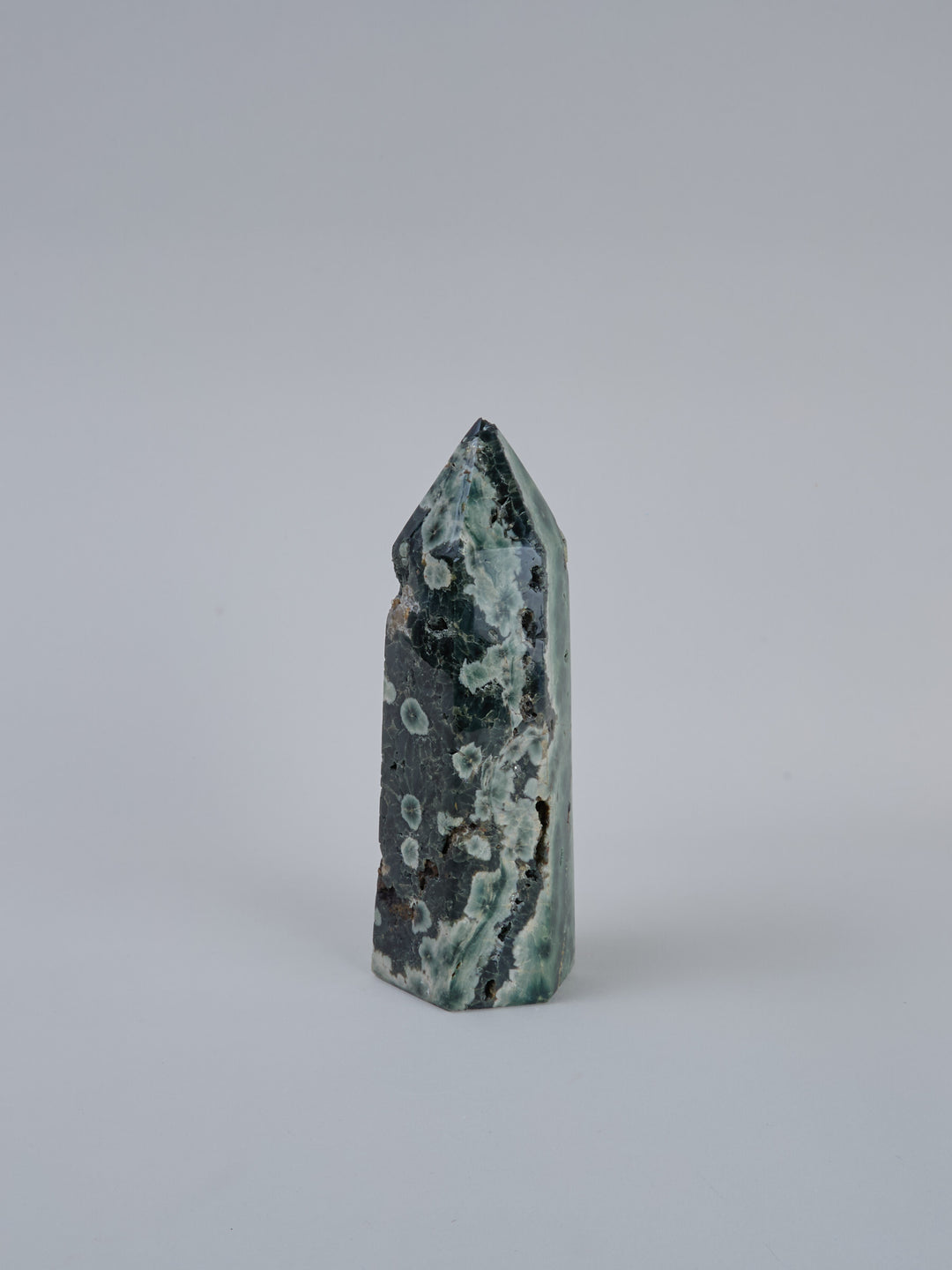 Ozean Jaspis (Orbicular) Spitze