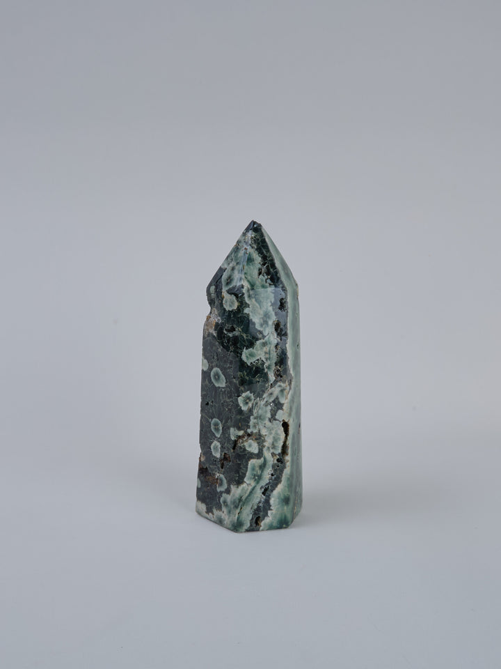Ozean Jaspis (Orbicular) Spitze