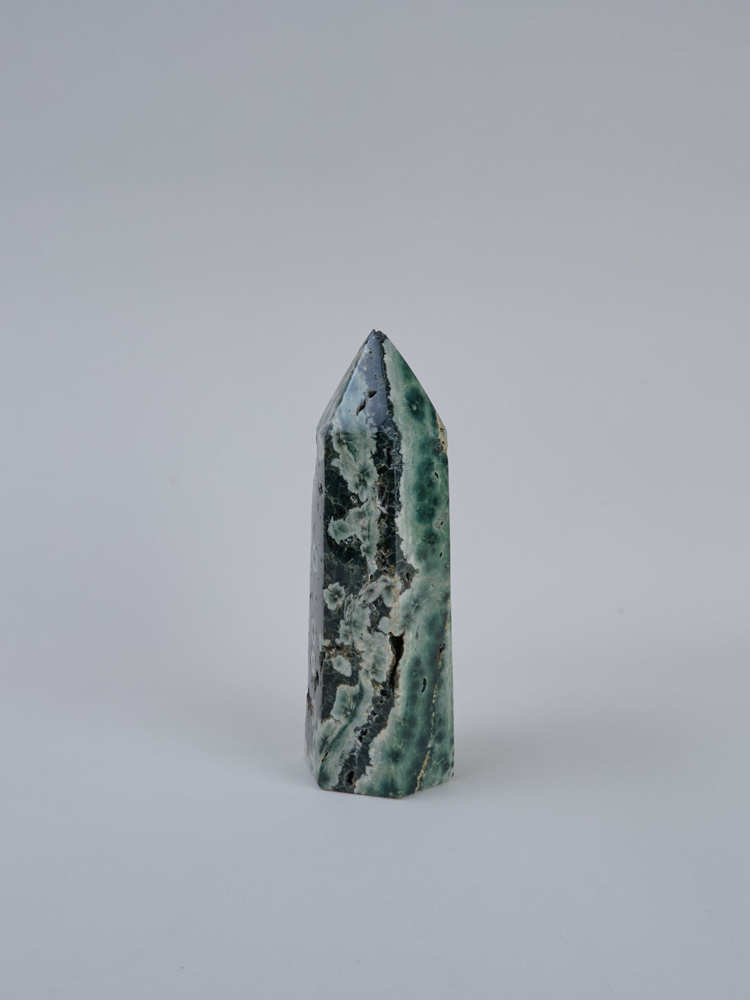 Ozean Jaspis (Orbicular) Spitze