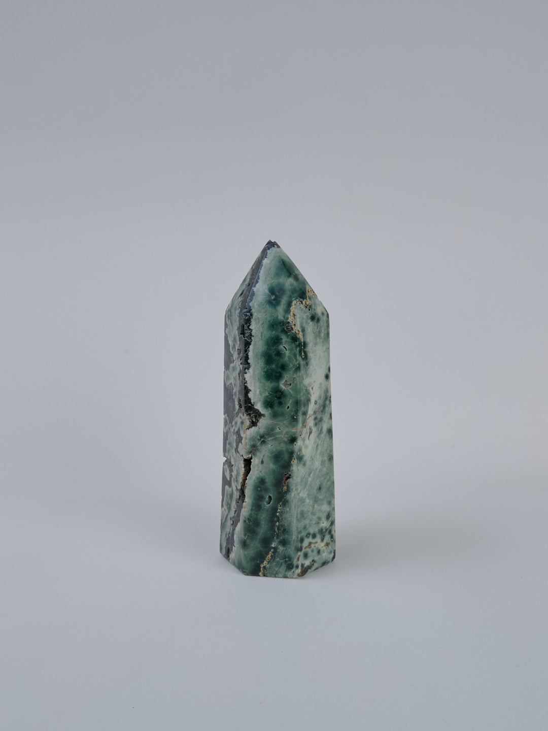 Ozean Jaspis (Orbicular) Spitze