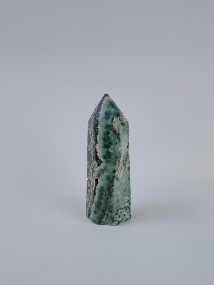 Ozean Jaspis (Orbicular) Spitze