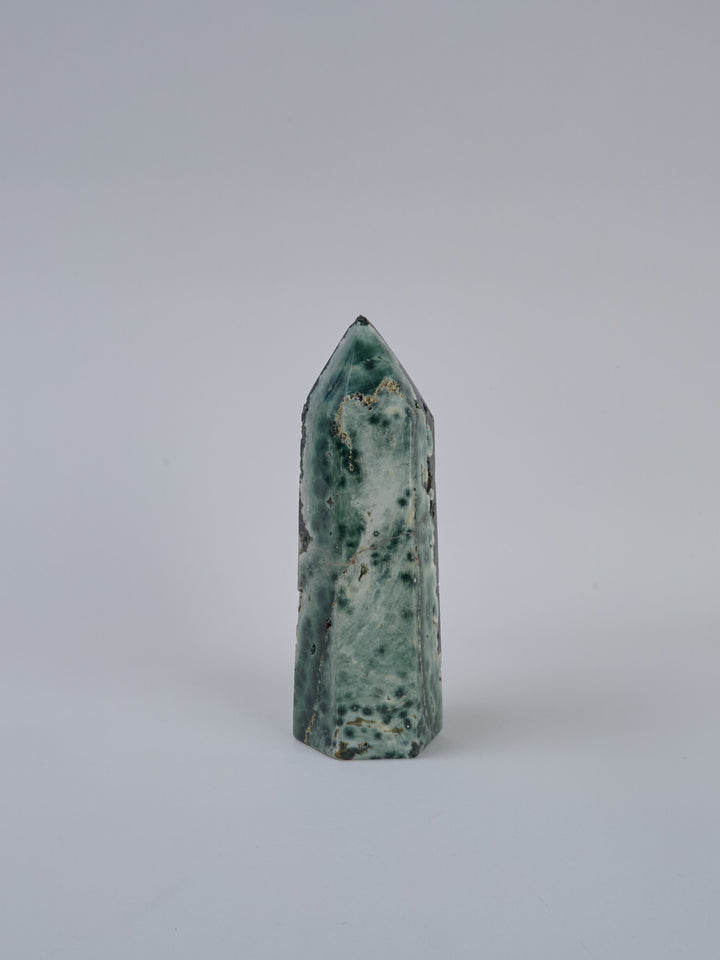 Ozean Jaspis (Orbicular) Spitze