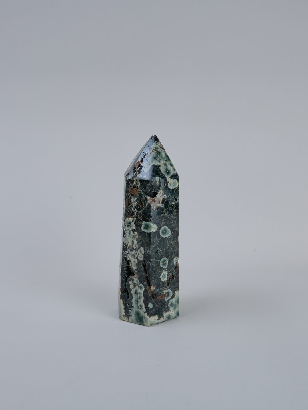 Ozean Jaspis (Orbicular) Spitze