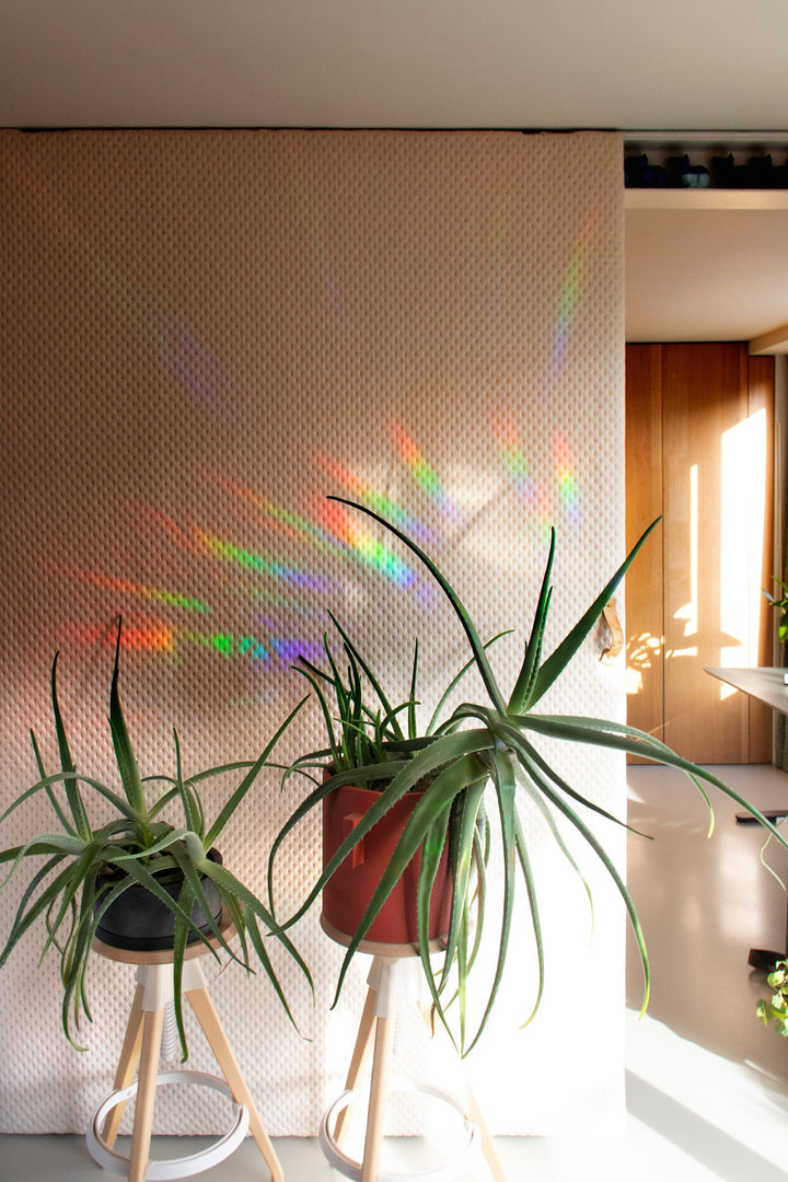 Rainbow Maker  You Are the Sunshine