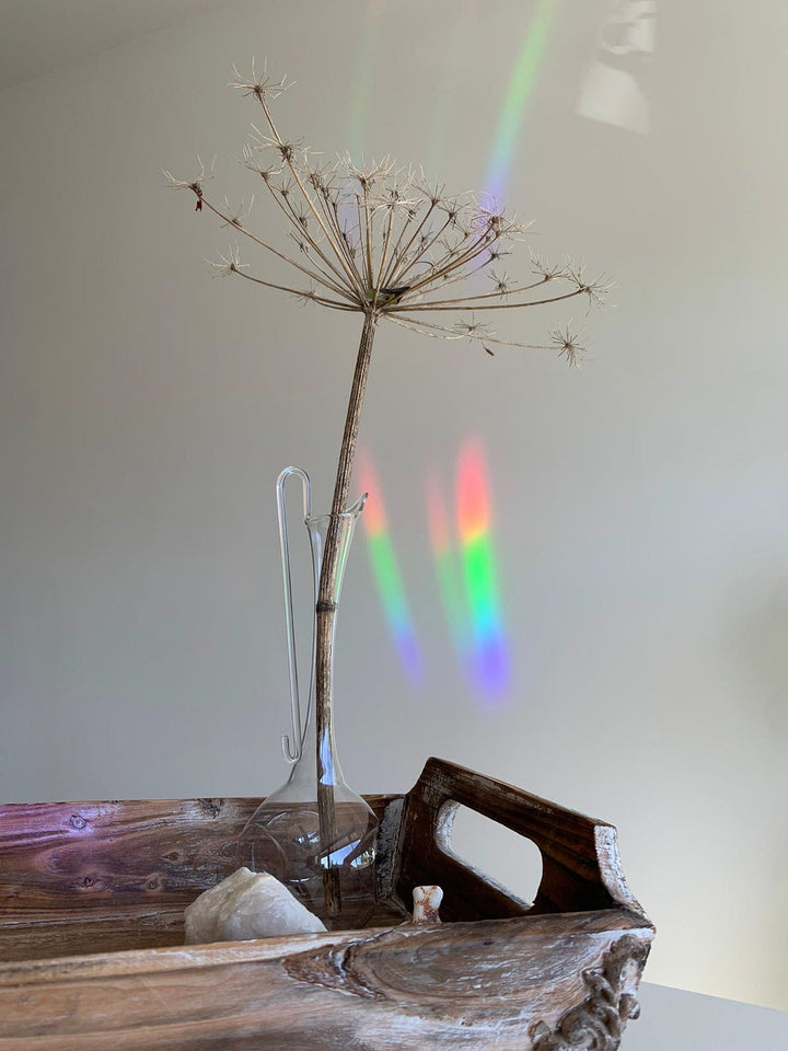 Rainbow Maker  You Are the Sunshine