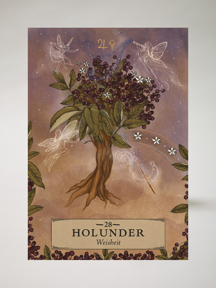 Herbal Astrology Orakel - Ayales