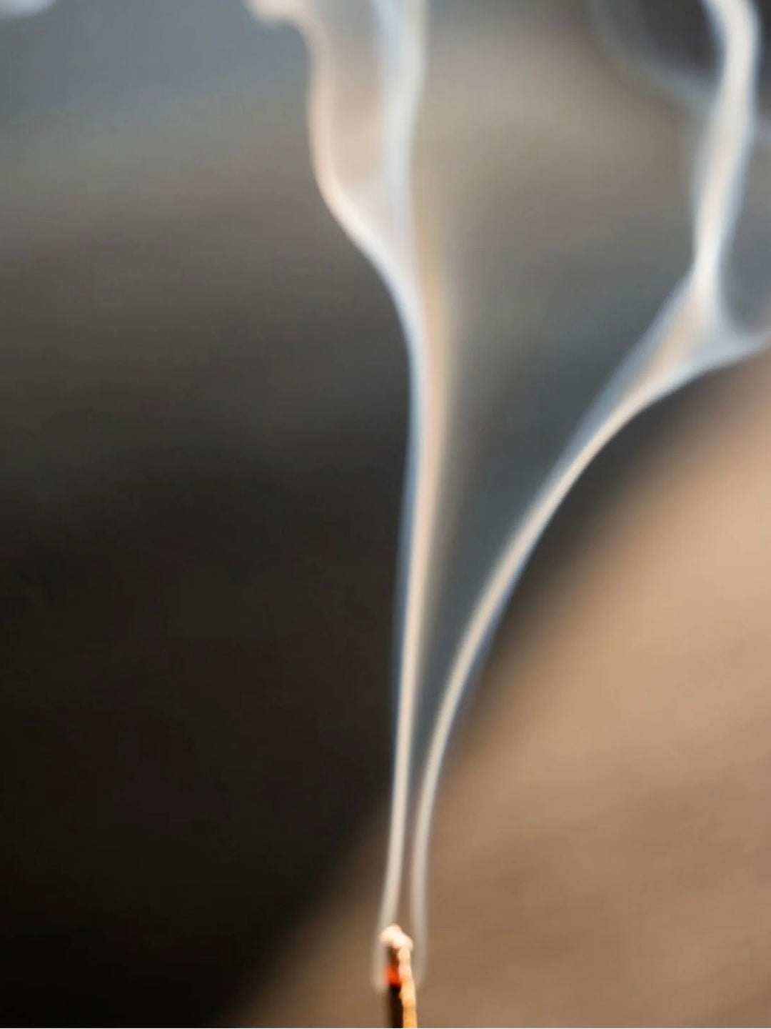 Campfire Räucherstäbchen – Wacholder