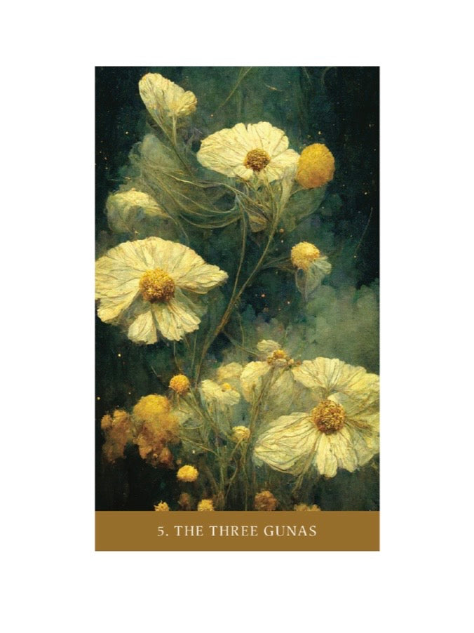The Path of Light Oracle