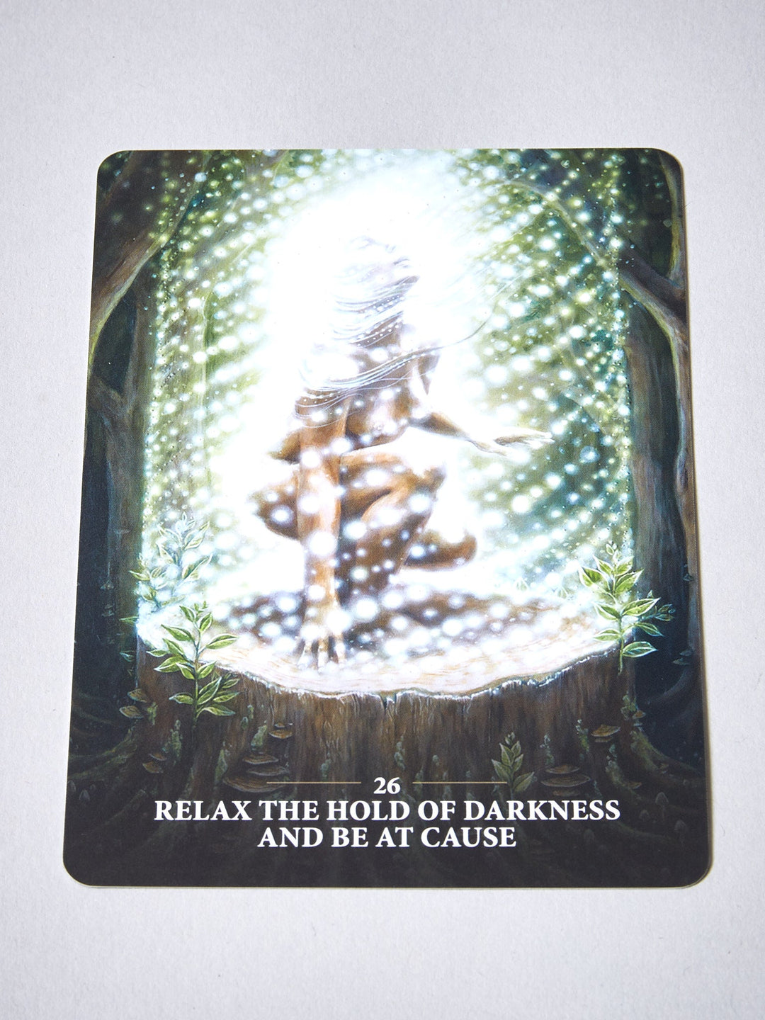 Sacred Rebels Oracle by Fairchild engl.