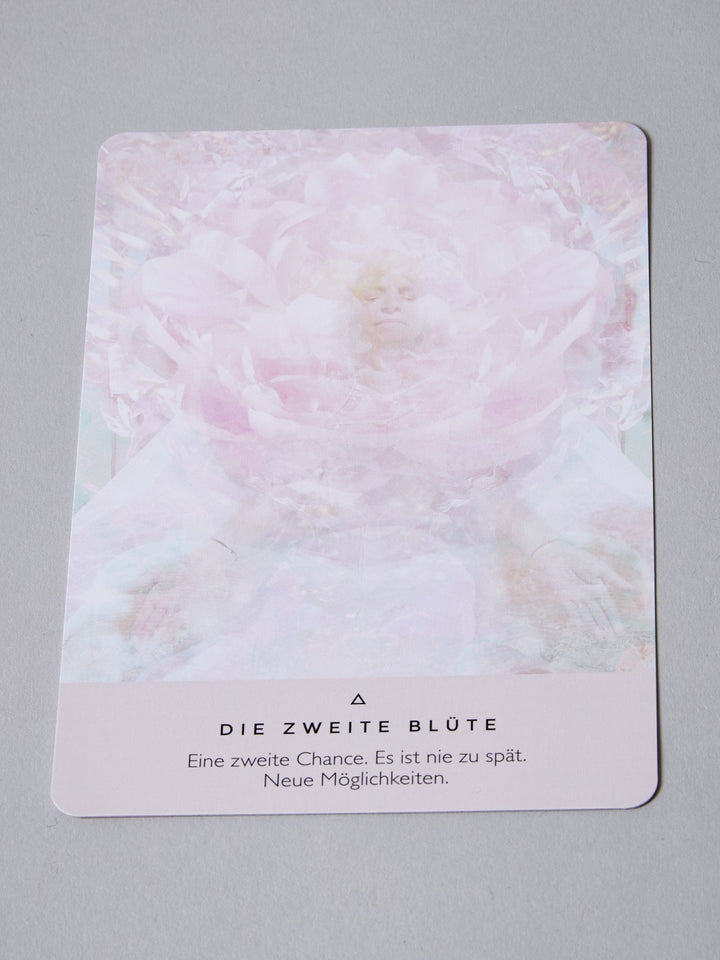 Orakel der Rose, Campbell