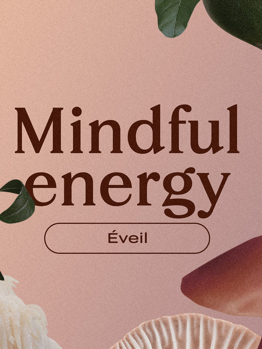 Chai Cacao mit Lion's Mane & Lucuma