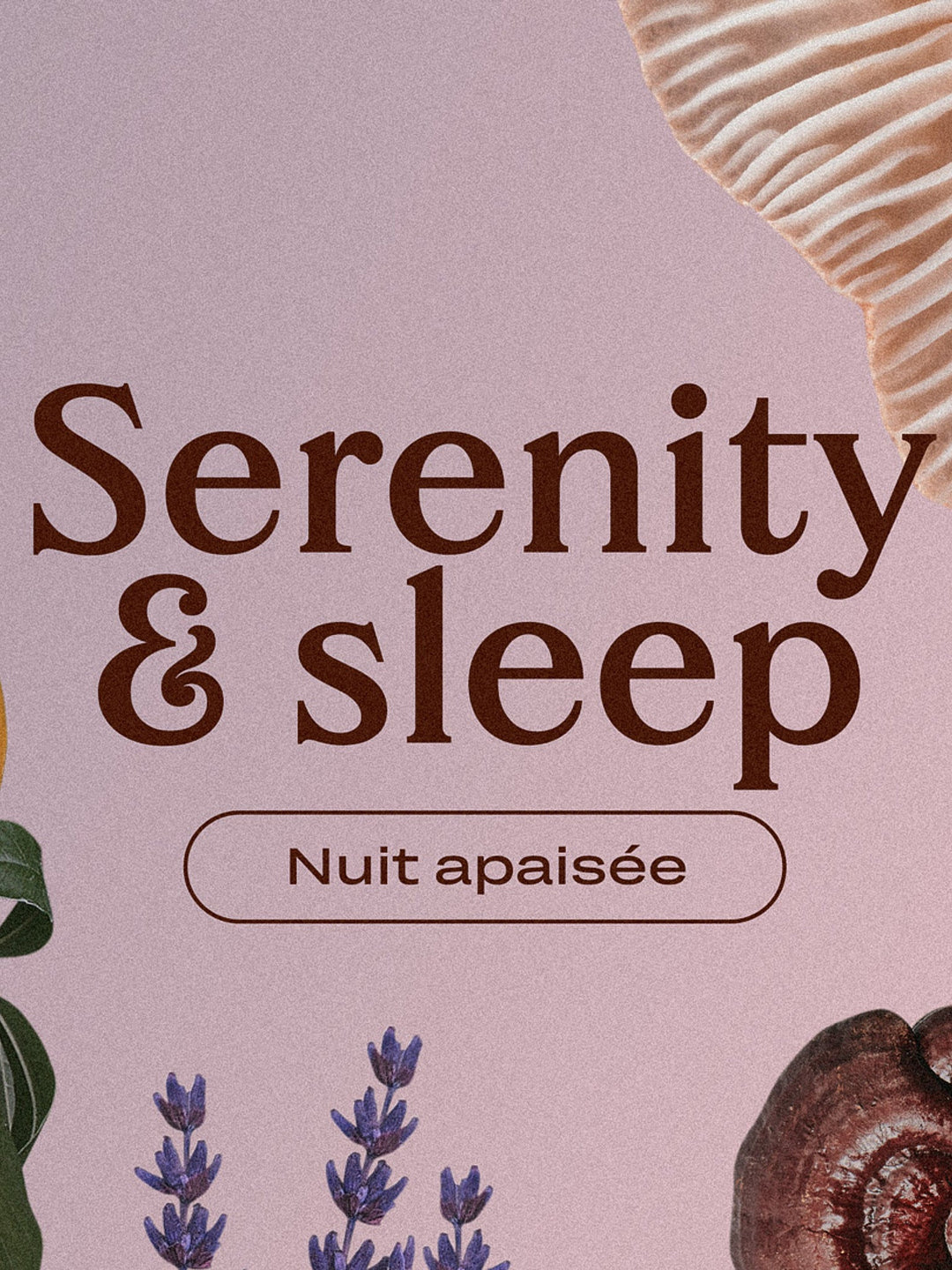 Lavendel Cacao mit Reishi & Lucuma