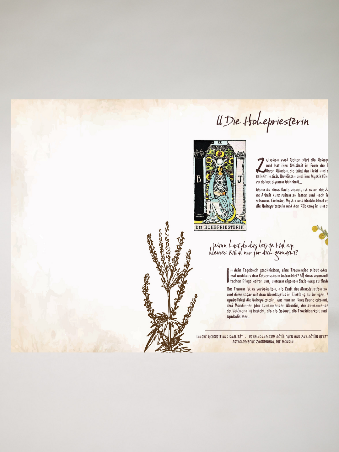 Tarot und Grüne Magie von Chiara Butendeich