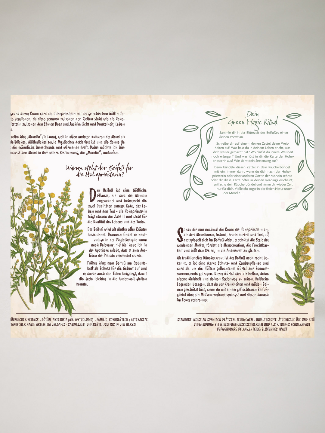 Tarot und Grüne Magie von Chiara Butendeich