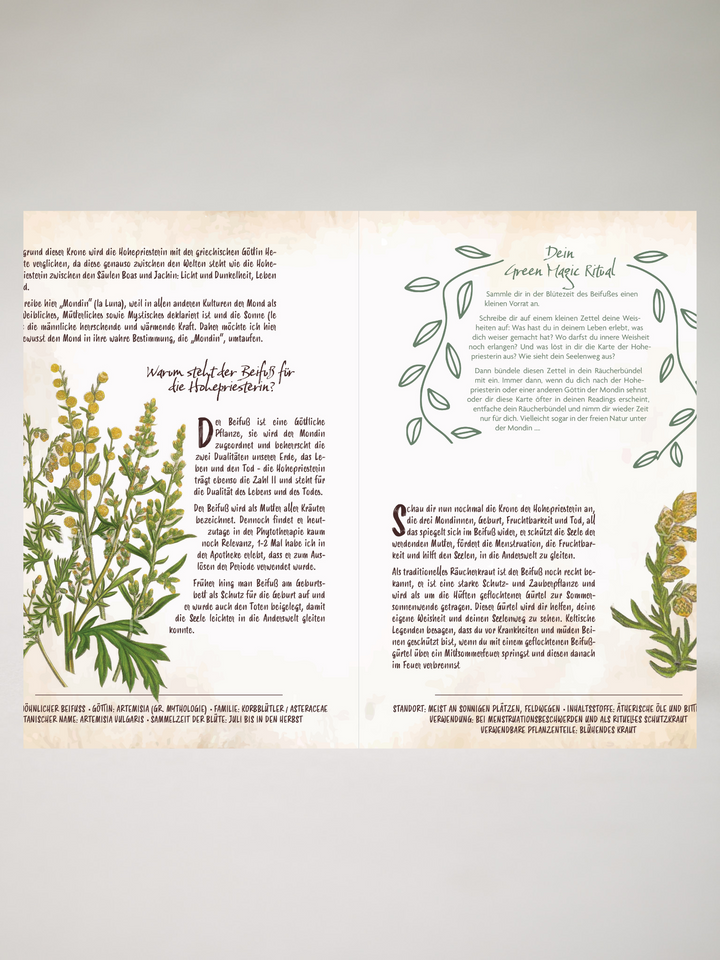 Tarot und Grüne Magie von Chiara Butendeich